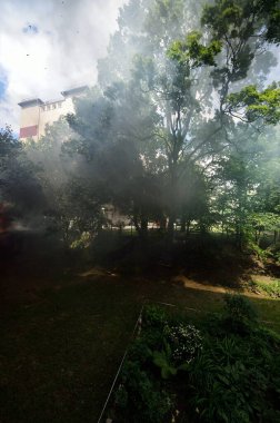 Arka bahçe ve alevler içinde yeşil bir yaz bahçesi. Yakın plan ateş ve duman. Avrupa 'da orman yangınları. Mevsimler, ekoloji, ekolojik sorun, çevresel hasar, felaket, tehlike, sosyal sorunlar