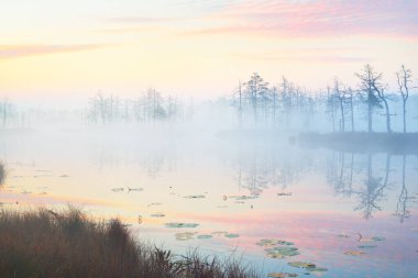 Gün doğumunda sisli, berrak bir göl. Suda simetri yansımaları, doğal ayna, karanlık ağaç siluetleri. Destansı bulut manzarası. Idyllic sonbahar sahnesi. Sanat, fantezi, peri masalı