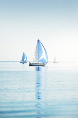 Yelkenli yat yarışı. Modern yelkenliler mavi yelkenli ile yarışıyor. Açık bir yaz günü. Kiel, Almanya. Spor ve eğlence, ulaşım, özel Wessel, tatiller
