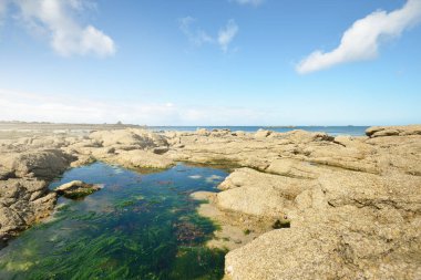 Güneşli bir günde, Lilia Körfezi 'nin Rocky kıyısında, Le Vierge deniz fenerinin yanında. Kadim taşlara yakın çekim. Plouguerneau, Finistre, Brittany, Fransa. Seyahat yerleri, ulusal dönüm noktaları.