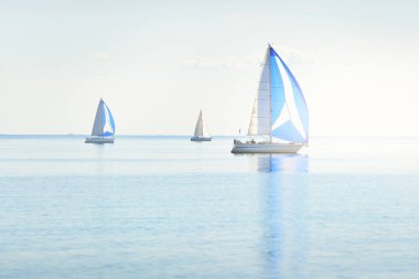 Yelkenli yat yarışı. Modern yelkenliler mavi yelkenli ile yarışıyor. Açık bir yaz günü. Kiel, Almanya. Spor ve eğlence, ulaşım, özel Wessel, tatiller