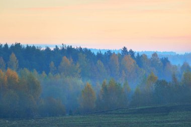 Tepelerin, tarlaların ve ormanların üzerinde destansı bir gün doğumu ve sis. Renkli sonbahar manzarası. Idyllic kırsal kesim. Sarı, turuncu, pembe ve kırmızı bulutlu dramatik bir gökyüzü. Saf sabah ışığı.