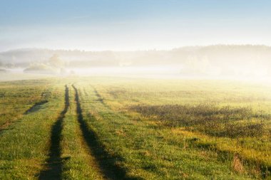 Güneş doğarken sabah sisi bulutları arasında yeşil tarımsal alanda traktör izleri (patika) vardır. Arka planda ağaç siluetleri var. Ilık güneş ışığı. Idyllic kırsal alanı
