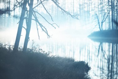 Gün doğumunda sisli, berrak bir göl. Suda simetri yansımaları, doğal ayna, karanlık ağaç siluetleri. Destansı bulut manzarası. Idyllic sonbahar sahnesi. Sanat, fantezi, peri masalı