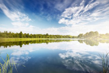 Açık mavi gökyüzüne karşı göl kıyısı, arka planda yeşil orman. - Letonya. Sudaki simetri yansımaları, doğal ayna. Idyllic yaz kırsal kesim