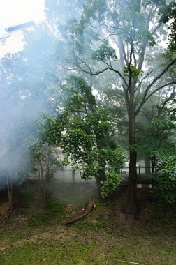 Arka bahçe ve alevler içinde yeşil bir yaz bahçesi. Yakın plan ateş ve duman. Avrupa 'da orman yangınları. Mevsimler, ekoloji, ekolojik sorun, çevresel hasar, felaket, tehlike, sosyal sorunlar