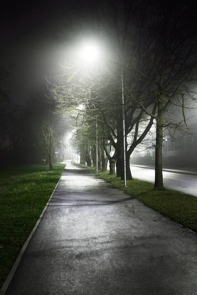 Camino Bicicleta Iluminado Vacío Través Del Parque Ciudad Una Niebla — Foto de Stock