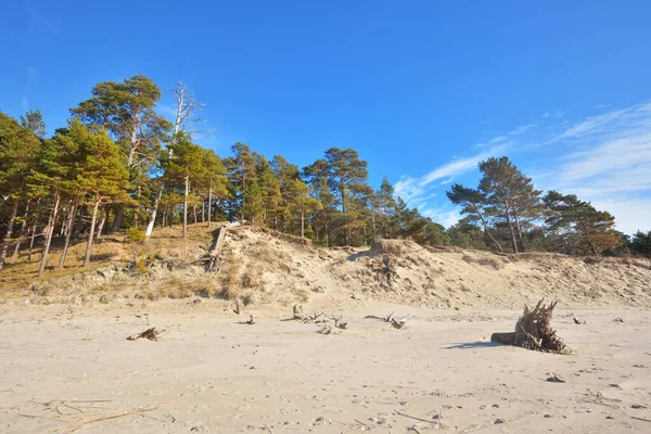 Costa Mar Báltico Durante Maré Baixa Dia Ensolarado Verão Letônia — Fotografia de Stock