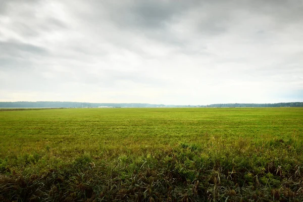 Green Plowed Agricultural Field Dramatic Sky Rural Scene Farm Food — Stock Photo, Image