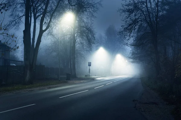 Autostrada Illuminata Vuota Attraverso Boschi Decidui Una Nebbia Mattutina Lanterne — Foto Stock