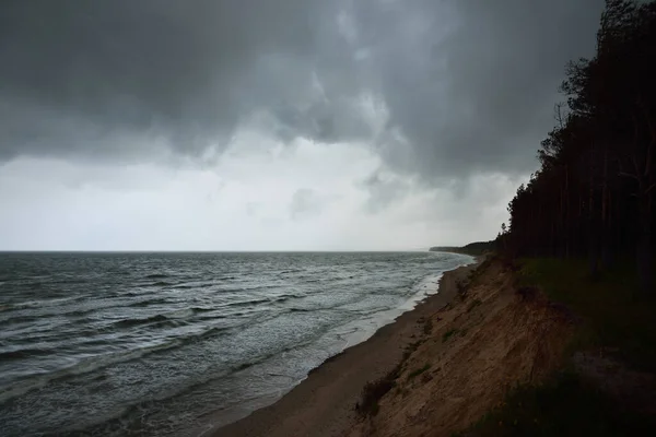 雷雨後の劇的な雲の下でバルト海沿岸 と松林 ラトビア 壮大な海の景色 サイクロン 気象学 気候変動 自然現象 — ストック写真