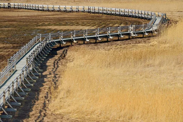 Aerial View Wooden Pathway Bird Watching Tower Lake Sunny Spring — Stock Photo, Image