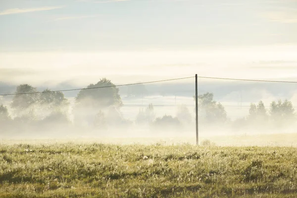 Campo Dourado Floresta Decídua Nuvens Nevoeiro Matinal Nascer Sol Sílhuetas — Fotografia de Stock