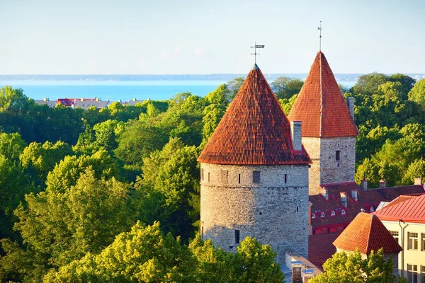 晴れた夏の日にタリン旧市街の要塞塔の空中ビュー パノラマの街並み 旅行ガイド 観光テーマ エストニア — ストック写真