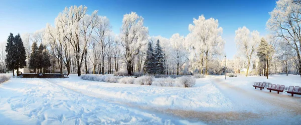 在暴风雪之后的一个阳光灿烂的冬日里 全景尽收眼底 是覆盖着积雪的克朗瓦尔达公园 拉脱维亚里加 旅游目的地 圣诞节假期 气候变化主题 — 图库照片