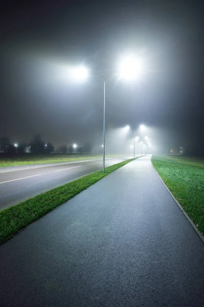 Pusta Oświetlona Droga Rowerowa Pobliżu Autostrady Mgle Nocy Zbliżenie Latarni — Zdjęcie stockowe