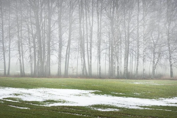 Kasvetli gökyüzünün altında yoğun bir sis altında kırsal tarım alanı. Yerde taze kar var. Almanya. Karanlık ağaç siluetleri. Sanat kavramı, grafik minimalizmi, ekoloji, küresel ısınma