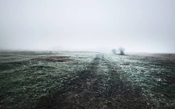 Yoğun Beyaz Bir Sabah Sisinin Içinde Yeşil Kırsal Alanda Bir — Stok fotoğraf