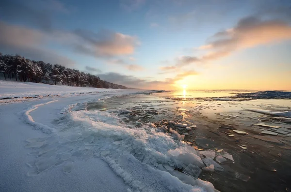 日没の凍結バルト海の海岸のパノラマビュー 氷の断片を閉じると 雪の背景に針葉樹林覆われた カラフルな雲の風景 水の対称性の反射 ラトビア — ストック写真