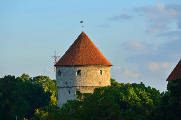 晴れた夏の日にタリン旧市街の要塞塔の空中ビュー パノラマの街並み 旅行ガイド 観光テーマ エストニア — ストック写真