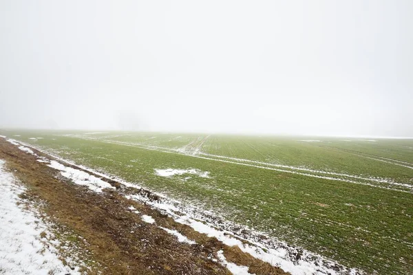 濃い霧の中で暗い空の下で田舎の農業分野 地面に新鮮な雪 ドイツだ コンセプトアート グラフィックミニマリズム エコロジー 地球温暖化 — ストック写真