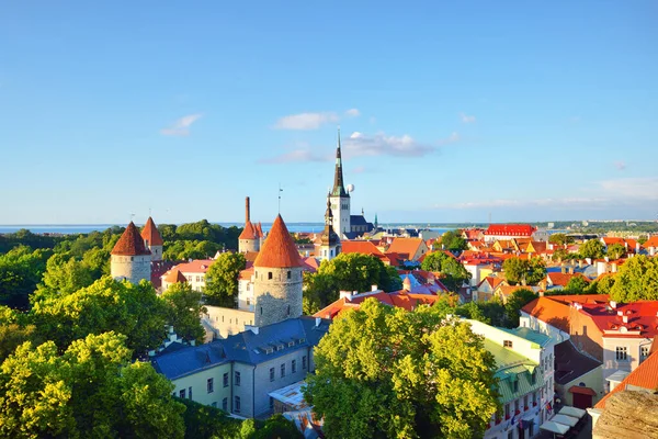 夏日阳光灿烂的塔林古城的空中风景 圣奥拉夫教堂的特写全景城市景观 旅游指南 观光主题 爱沙尼亚 — 图库照片