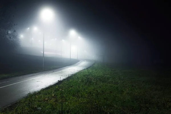 一条空荡荡的 灯火通明的自行车道 夜雾中急转直下 灯笼特写 背景中的桥 娱乐和健康的生活方式主题 拉脱维亚里加 — 图库照片