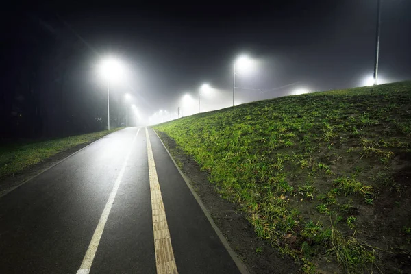 Camino Bicicleta Iluminado Vacío Través Del Parque Ciudad Una Niebla — Foto de Stock