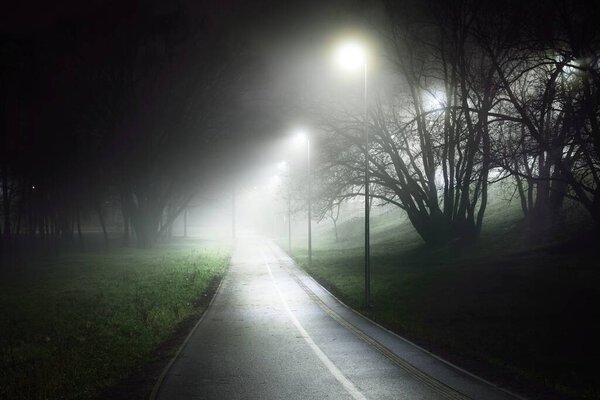 Пустой освещенный велосипедный путь через городской парк в тумане ночью. Фонари крупным планом. Тема отдыха и здорового образа жизни. Рига, Латвия