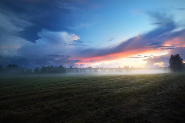 色彩艳丽的落日和雾气笼罩着碧绿的耕地 背景是森林 戏剧化的云雾 乡村风景 — 图库照片
