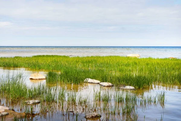 Felsige Ostseeküste Einem Sonnigen Tag Steine Aus Nächster Nähe Hintergrund — Stockfoto