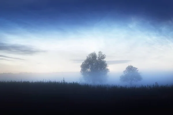 Starry Sky Noctilucent Clouds Country Field Summer Solstice Night Finland — Stock Photo, Image