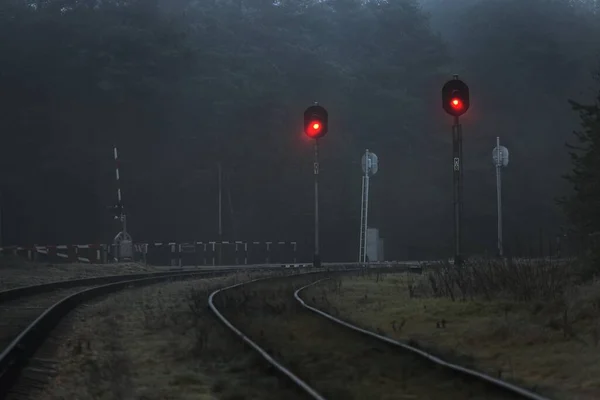 Ancien Chemin Fer Effrayant Travers Forêt Conifères Dans Brouillard Rouge — Photo