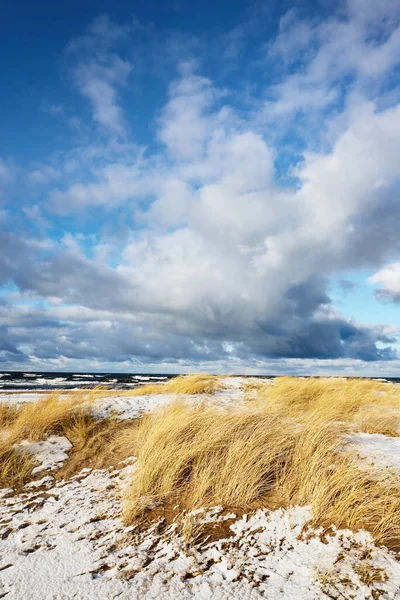 バルト海の上の嵐の雲 冬のサイクロン 劇的な空 水が飛び散った 砂丘草のクローズアップ ドイツだ 生態系 気候変動 地球温暖化の概念 — ストック写真