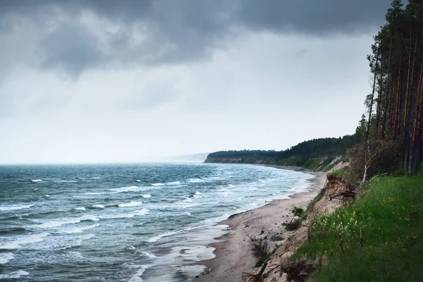 Östersjökusten Sanddyner Och Tallskog Dramatiska Moln Efter Åskväder Lettland Episk — Stockfoto