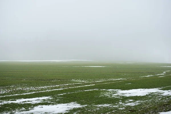 Landsbygdsfält Den Dystra Himlen Tjock Dimma Nysnö Marken Tyskland Konceptkonst — Stockfoto
