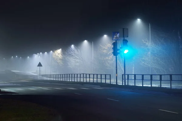 在夜雾中照亮了空旷的公路 街灯和路标的特写 黑暗的城市景象 城市景观 拉脱维亚里加 危险驾驶 概念形象 — 图库照片