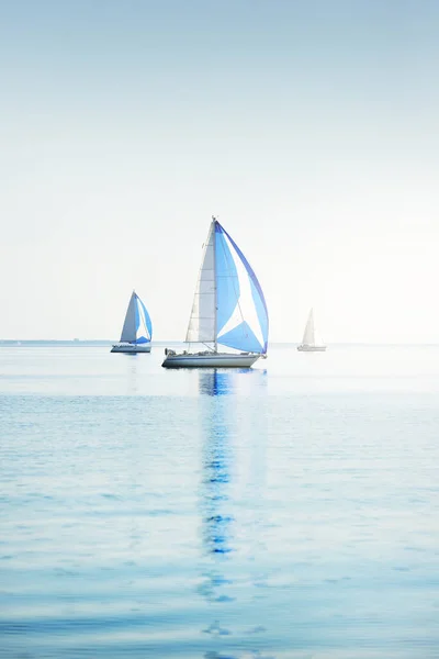 Sailing Yacht Regatta Modern Sailboats Racing Blue Spinnaker Sails Clear — Stock Photo, Image