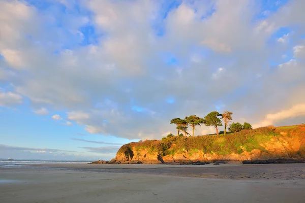 Scogliera Arancione Con Alberi Alti Sulla Costa Della Baia Douarnenez — Foto Stock