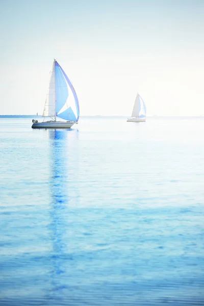 Regata Iate Vela Veleiros Modernos Correndo Com Velas Spinnaker Azuis — Fotografia de Stock