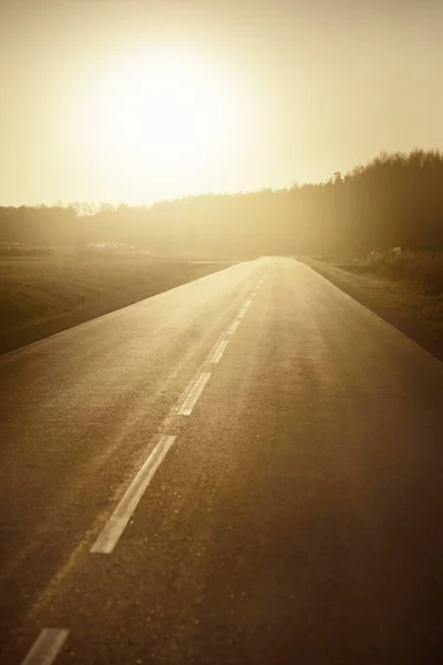 Open Highway Hot Summer Day Sunset Forest Background Driving Car — Stock Photo, Image