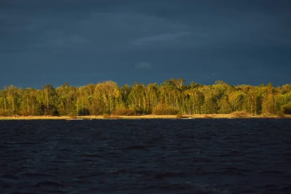 Foresta Verde Una Riva Sabbiosa Sotto Cielo Buio Tempesta Dopo — Foto Stock