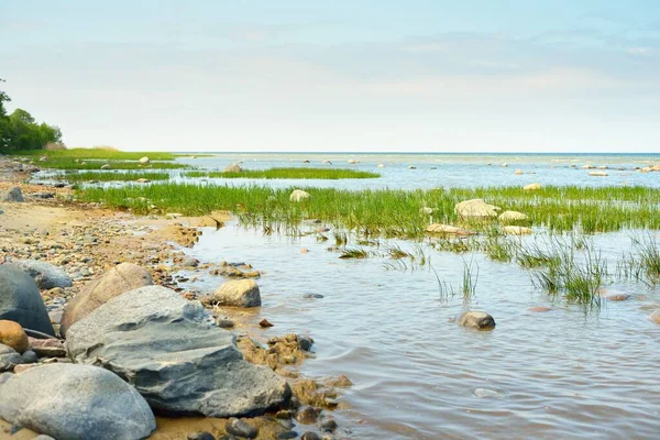 Güneşli Bir Günde Baltık Denizi Nin Kayalık Kıyıları Taşlar Yakın — Stok fotoğraf
