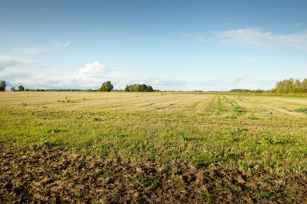 Vert Labouré Champ Agricole Sous Ciel Dramatique Scène Rurale Agriculture — Photo