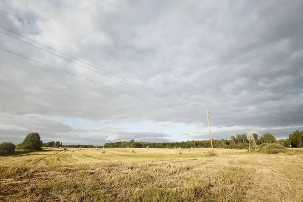 Caminho Através Campo Agrícola Cereais Sob Nuvens Dramáticas Linha Electricidade — Fotografia de Stock