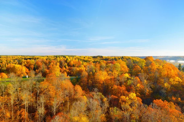 Hisnande Panoramautsikt Över Kullarna Färgglada Röda Orange Och Gula Träd — Stockfoto