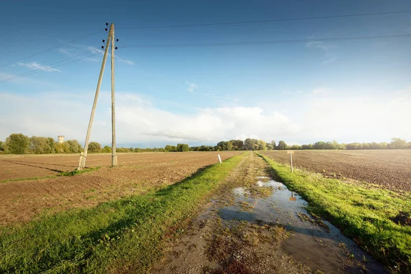 劇的な空の下で緑豊かな農地を通って未舗装の道路 トランスポールの開閉 田舎の風景 食品産業 代替エネルギーと生産 環境保全 — ストック写真