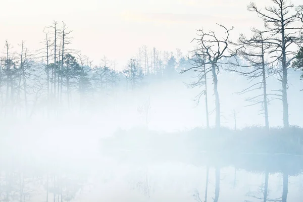 Lac Cristallin Tourbière Dans Brouillard Lever Soleil Réflexions Symétriques Sur — Photo
