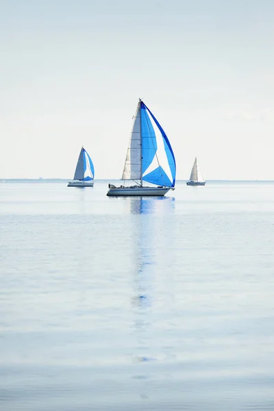 Regata Yates Vela Veleros Modernos Carreras Con Velas Spinnaker Azul — Foto de Stock