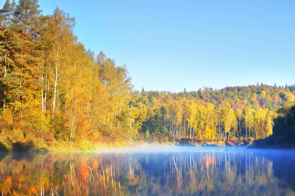 晨雾中的金桦树林和河流 晴朗的蓝天 水的对称反射 拉脱维亚Sigulda Gauja国家公园 生态旅游 旅游目的地 环境保护 — 图库照片